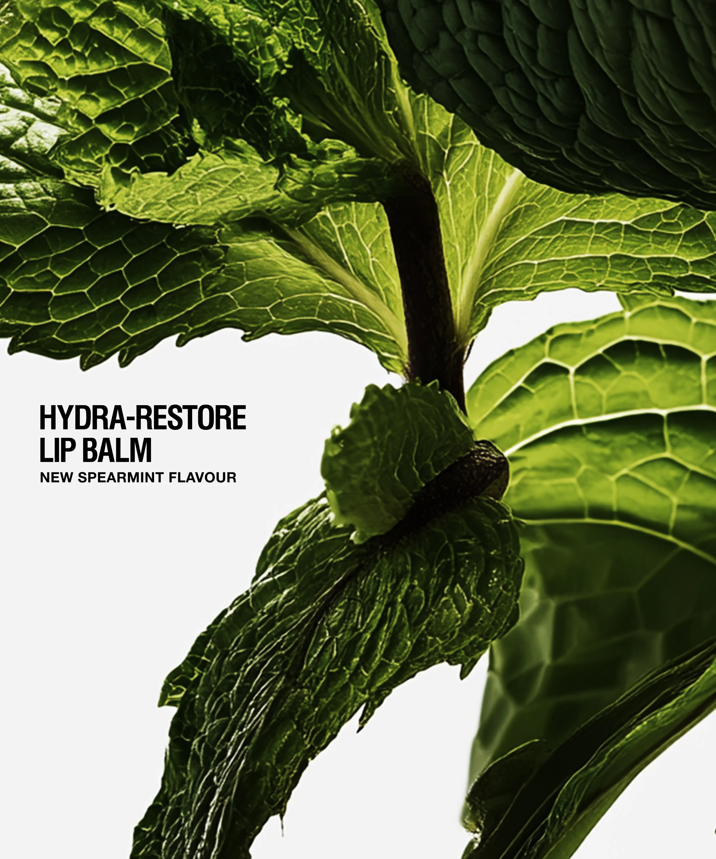 Hydra-Restore Lip Balm Spearmint - 12ml - Image 6