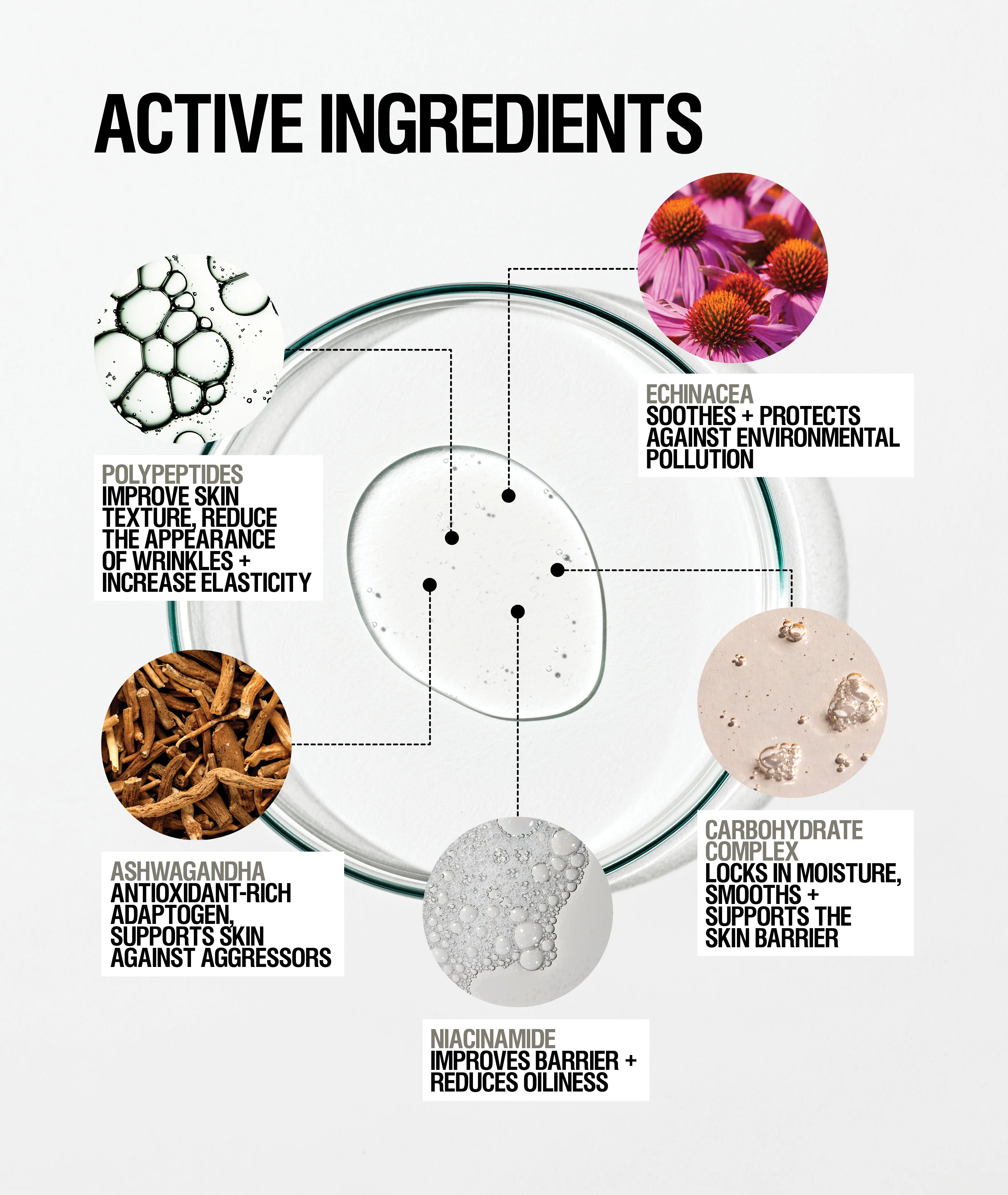 Skin Renewal Serum + Oil Bundle - Image 2